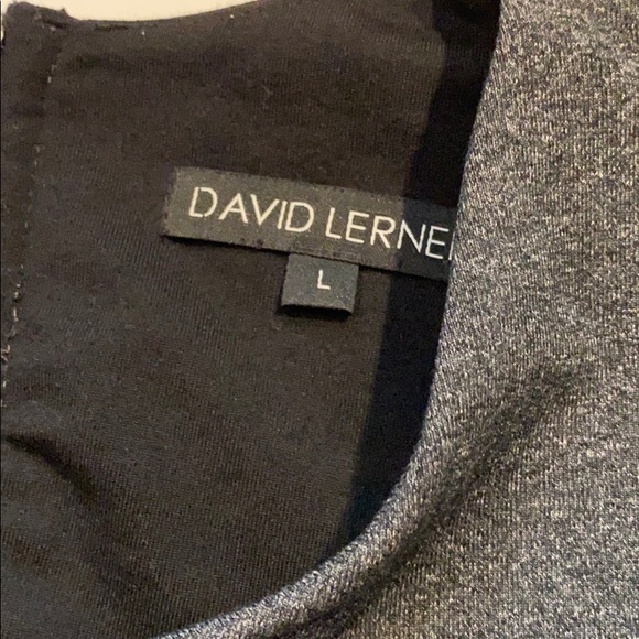 David Lerner Large Short Bodycon Astor Dress New D6 - Picture 6 of 13